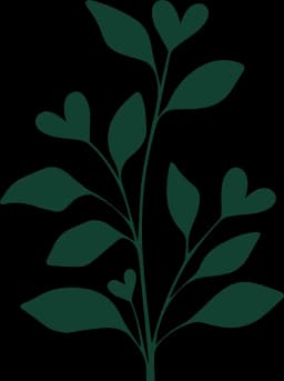 Decorative Plant
